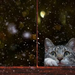 Ciepły montaż dużych okien