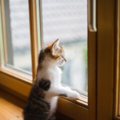 Ciepły montaż okien – czy warto go stosować